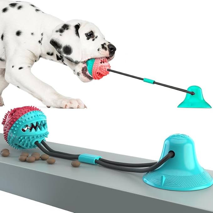 animais de estimação