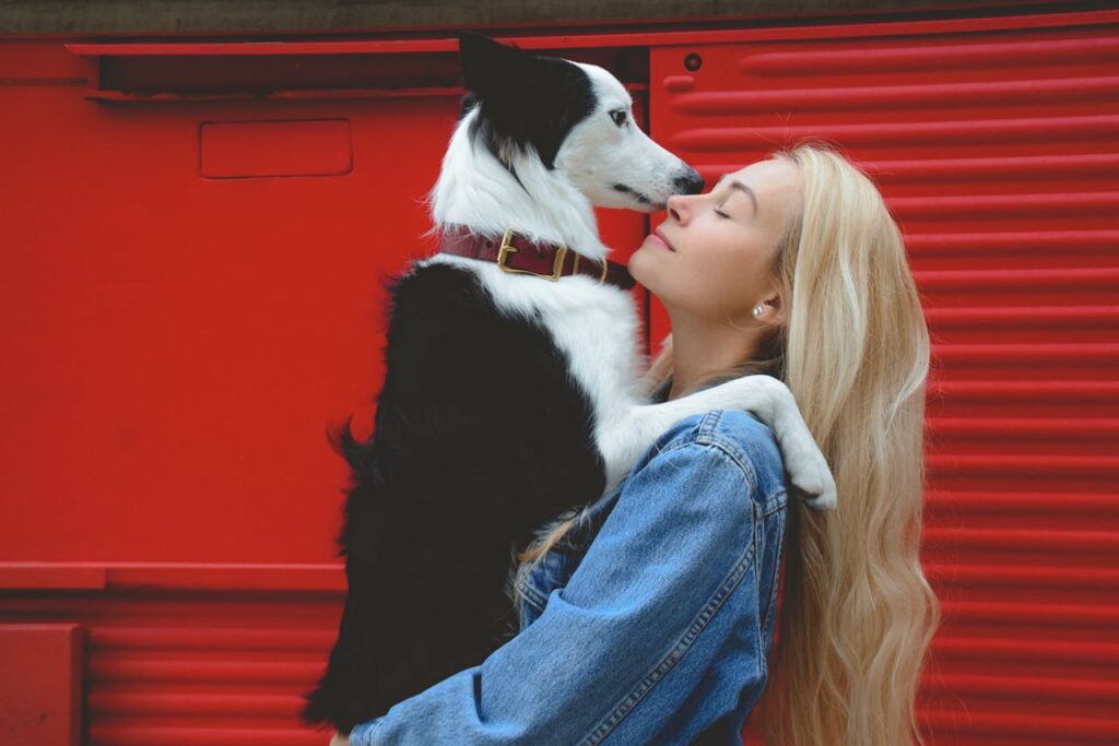 pexels-photo-26347463 A woman lovingly holds her Border Collie against a vibrant red backdrop.