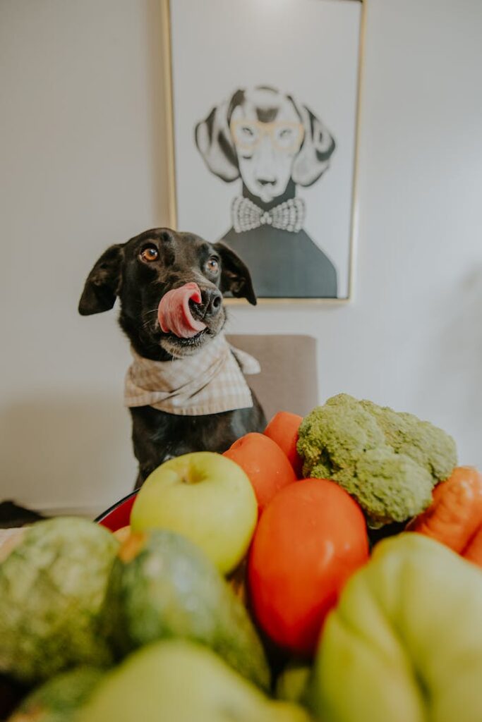 pexels-photo-30070534 Free stock photo of dogs, four legged
