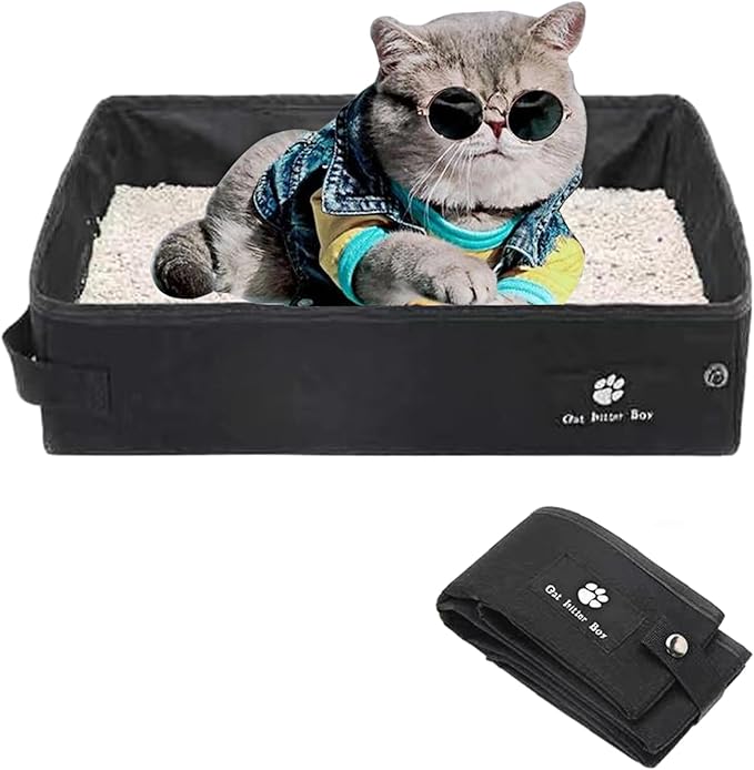 socorros para animais