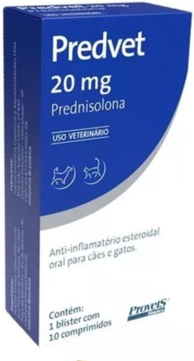 Dor em Gatos