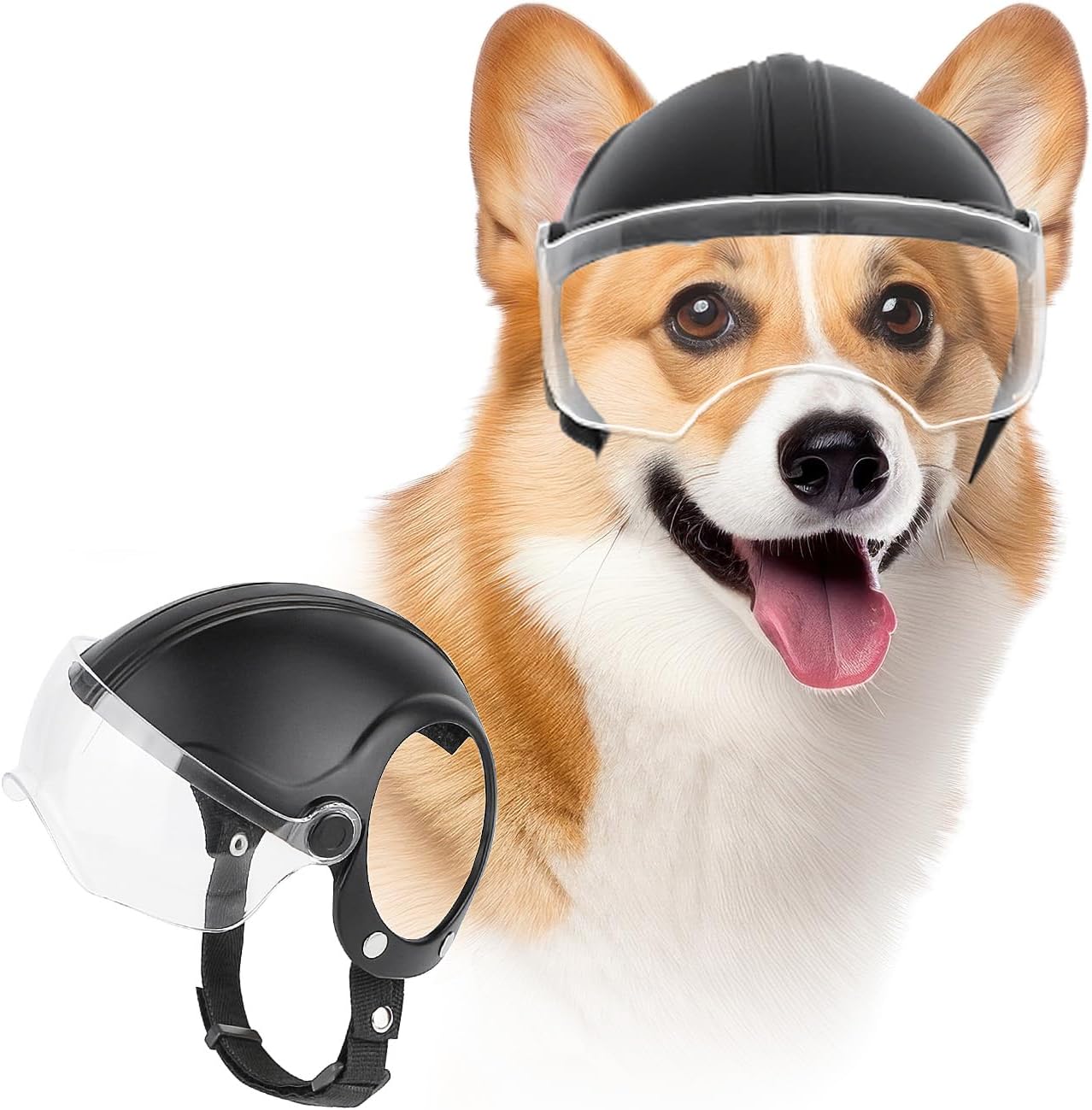 Saúde do Pet