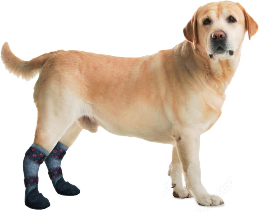 eia Antiderrapante Pet Para Cachorros Cano Longo