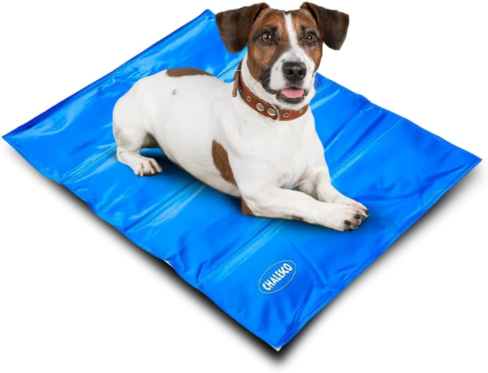 Tapete Gelado para Pets