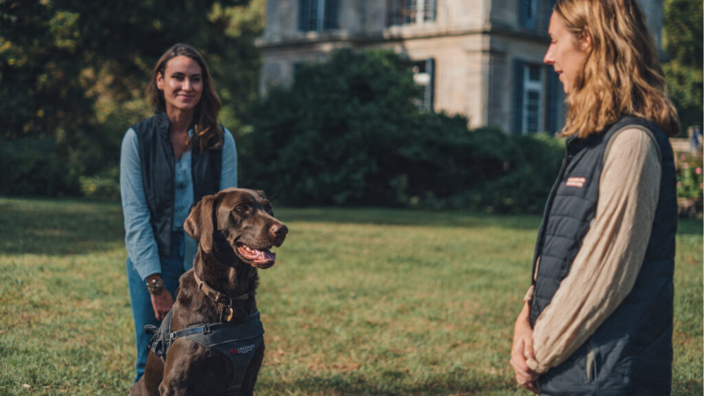 comportamentos agressivo